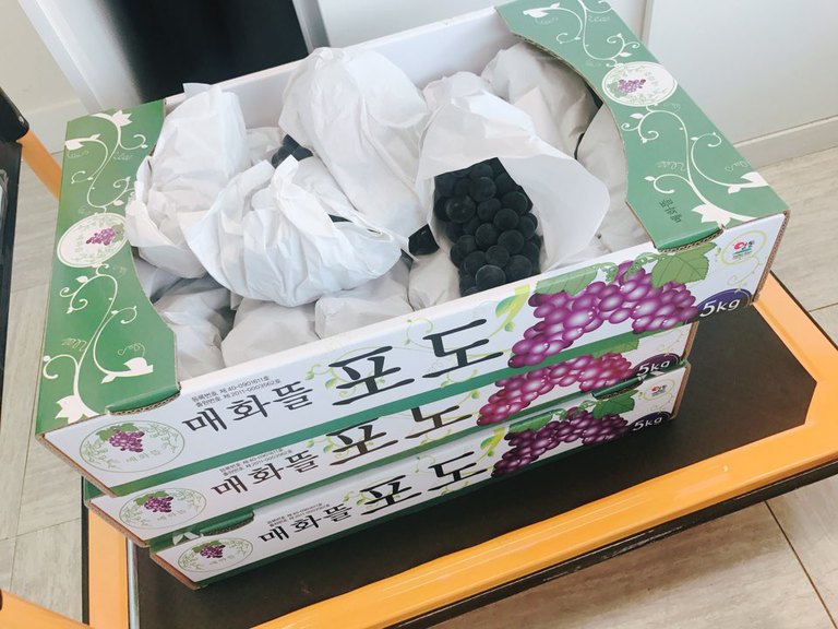 포동포동 제철과일 포도 !